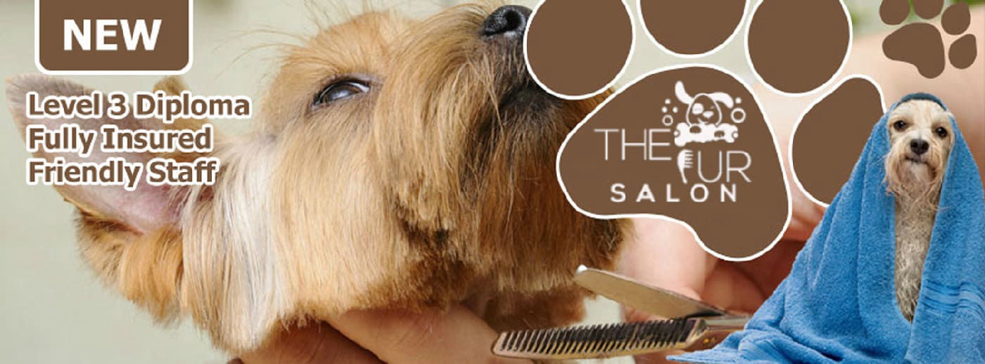 Visit us on Facebook!